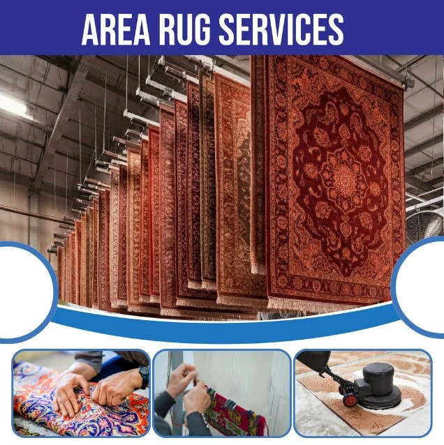 carpet cleaning in bronx, carpet cleaning bronx, carpet cleaners in bronx, carpet cleaners in bronx, commercial carpet cleaning, commercial carpet cleaning in bronx, bronx rug cleaners, rug cleaning services in bronx, same day carpet cleaning, same day rug cleaning in bronx